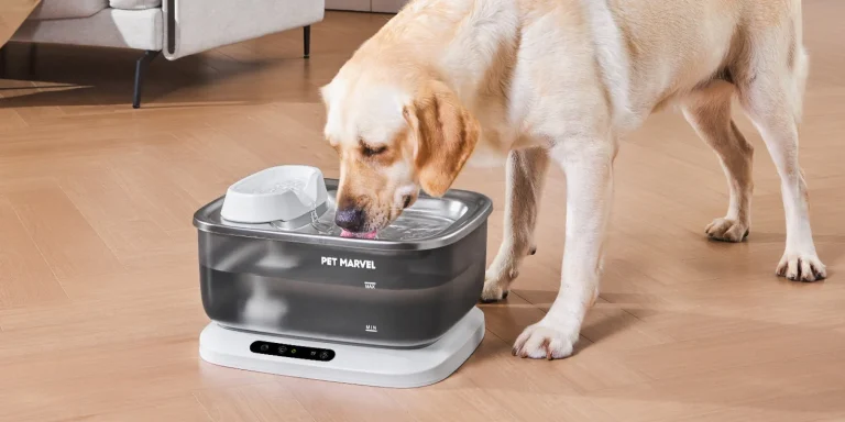 Pet Fountains