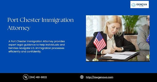 Immigration Attorney
